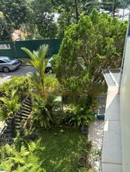 Mount Sinai (D10), Terrace #463601351